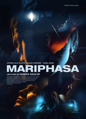 蝴蝶百合Mariphasa