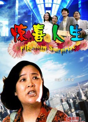 惊喜人生An Amazing and Surprising Life