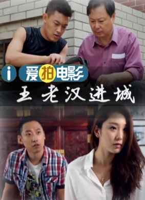 王老汉进城