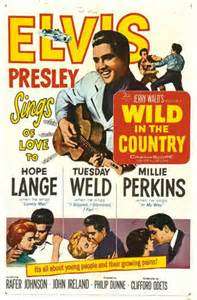 乡间野趣Wild in the Country