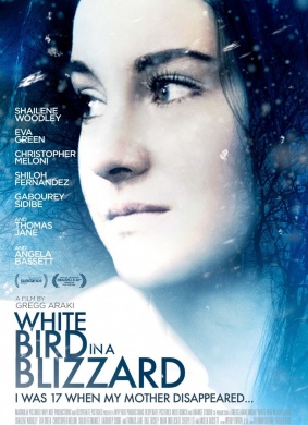暴风雪中的白鸟White Bird in a Blizzard
